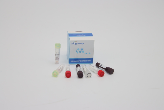नैदानिक ​​निदान के लिए ORF1ab HPV PCR जांच किट न्यूक्लिक एसिड आनुवंशिक परीक्षण