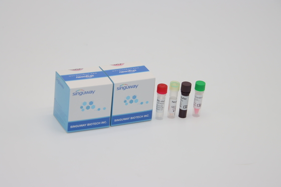 अल्फा बीटा डेल्टा गामा म्यूटेशन लैब के उपयोग के लिए एक कदम QPCR किट ओरल स्वैब